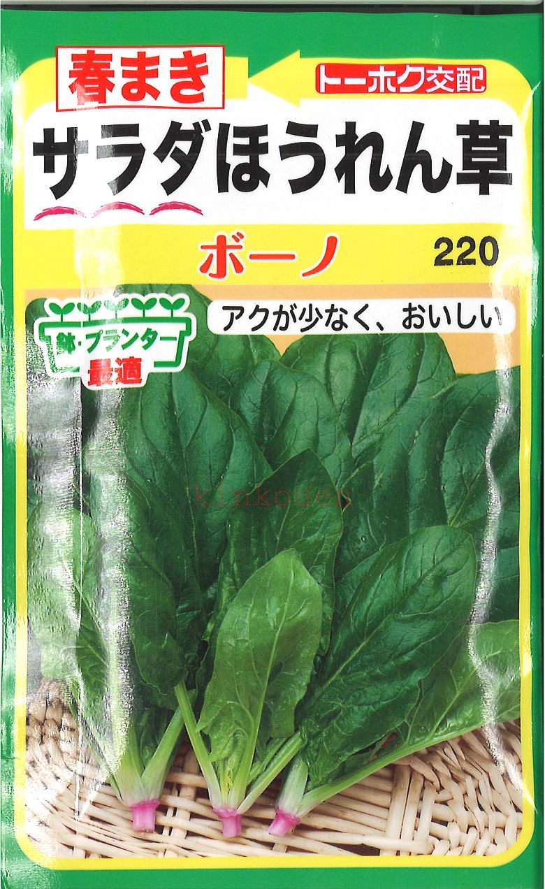 【代引不可】【送料5袋まで80円】◇ seed たね tane 種 種子 タネ □春まきサラダほうれん草ボーノ■種子 ホウレンソウ 種 種子 ホウレンソウ 種 種子 ホウレンソウ 種 種子 ホウレンソウ 種 種子 ホウレンソウ 種 種子 ホウレ