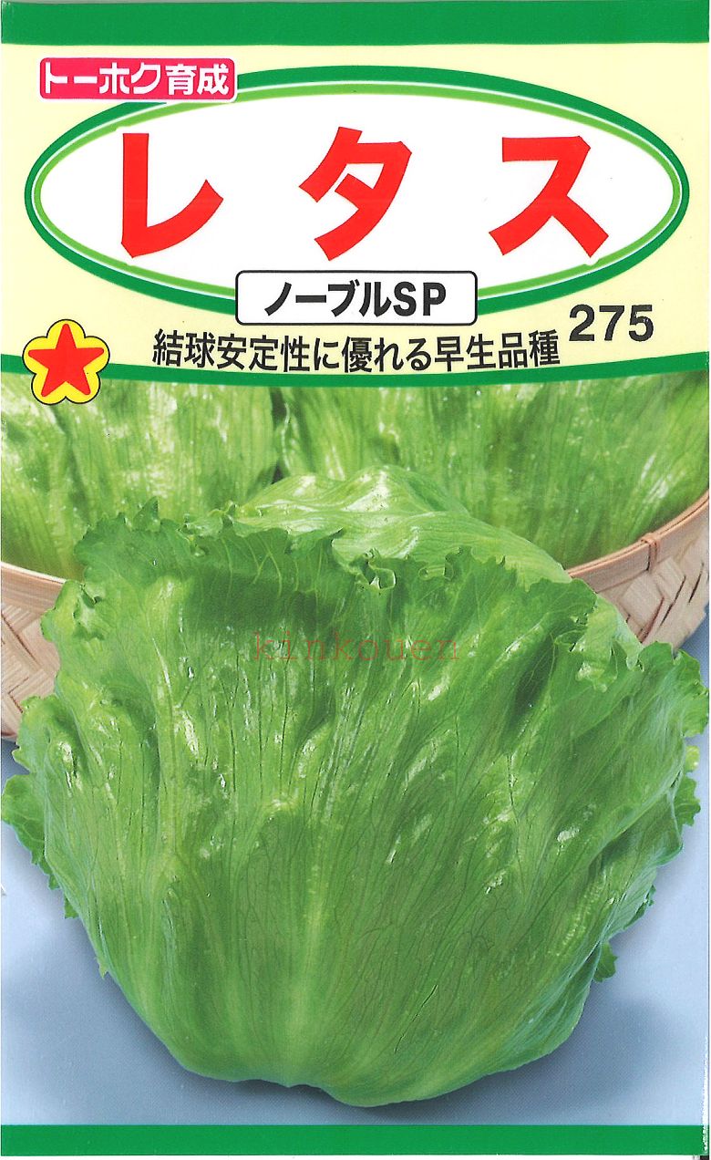 【代引不可】【送料5袋まで80円】◇ seed たね tane 種 種子 タネ □レタスノーブルSP■種子 ブロッコリー カリフラワー レタス 種 種子 ブロッコリー カリフラワー レタス 種 種子 ブロッコリー カリフラワー レタス 種 種子■