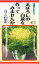 【代引不可】【送料5袋まで80円】◇ seed たね tane 種 種子 タネ □まぼろしの白菜を作ってみませんかあずま山東菜葉野菜■種子 葉野菜 他 種種子 ハクサイ 種 種子 葉野菜 他 種種子 ハクサイ 種 種子 葉野菜 他 種種子 ハクサイ 473円