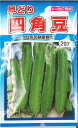 【代引不可】【送料5袋まで80円】◇ seed たね tane 種 種子 タネ □四角豆■種子 豆 種 種子 豆 種 種子 豆 種 種子 豆 種 種子 豆 種 種子 豆 種 種子 豆 種 種子 豆 種 種子 豆 種 種子 豆 種 種子 豆 種 種子