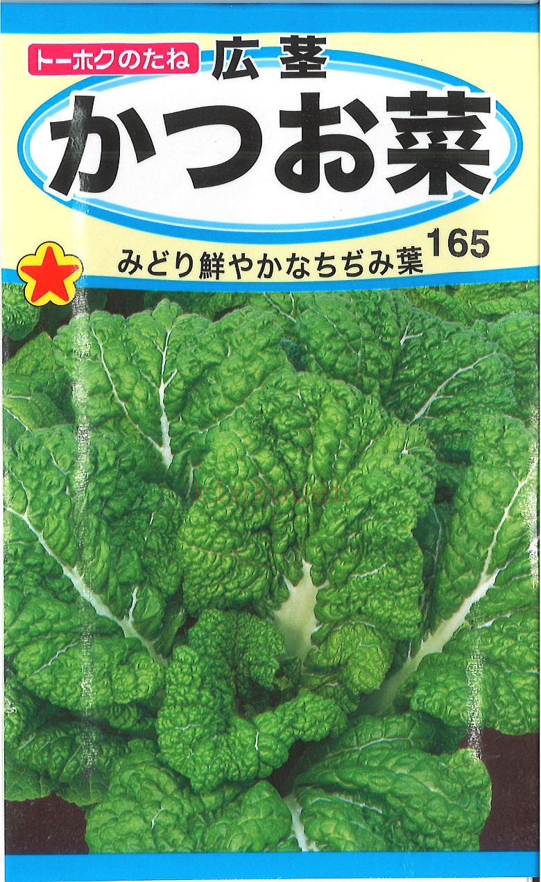 【代引不可】【送料5袋まで80円】 □ 広茎かつお菜■種子 葉野菜 他 種 種子 葉野菜 他 種 種 ...