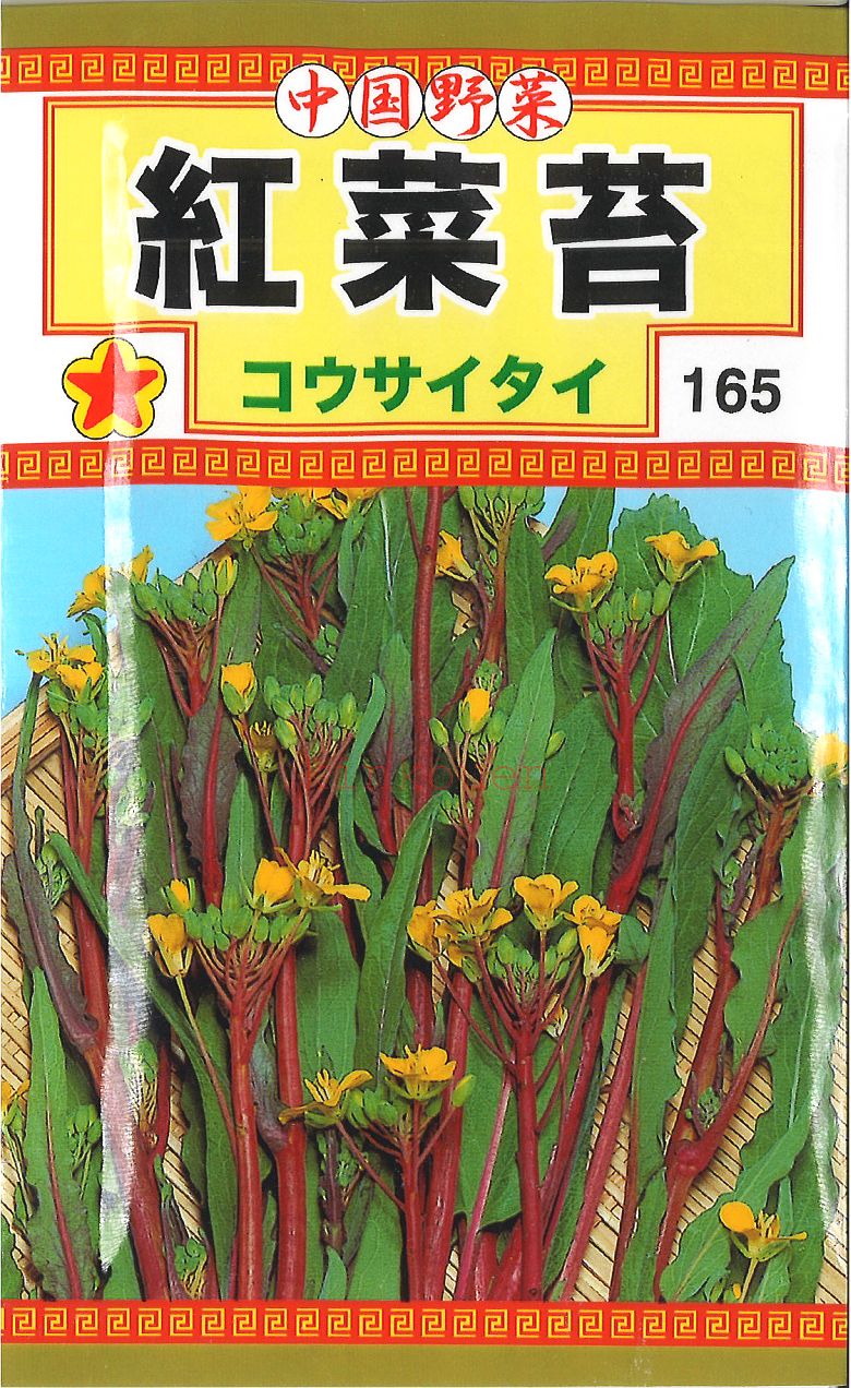 【代引不可】【送料5袋まで80円】 □ 紅菜苔 こうさいたい コウサイタイ■種子 葉野菜 他 種 種 ...