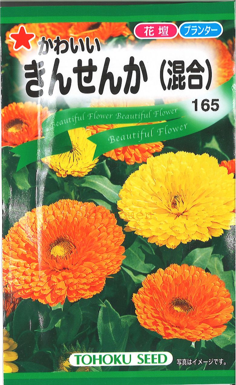  □ かわいいきんせんか 混合■花 種 花 種 花 種 花 種 花 種 花 種 花 種 花 種 花 種 花 種 花 種 花 種 花 種■■花 種 花 種 花 種 花 種 花 種 花 種 花 種 花 種 花 種 花 種