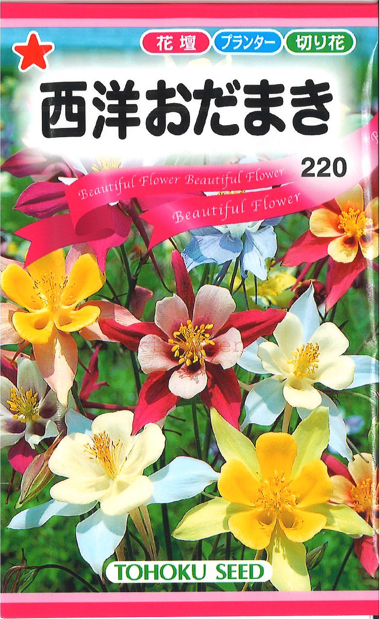 【代引不可】【送料5袋まで80円】◇ seed たね tane 種 種子 タネ □西洋おだまき■花 種種子 ウタネ 花 種種子 ウタネ 花 種種子 ウタネ 花 種種子 ウタネ 花 種種子 ウタネ 花 種種子 ウタネ 花 種種子 ウタネ 花 種種子■