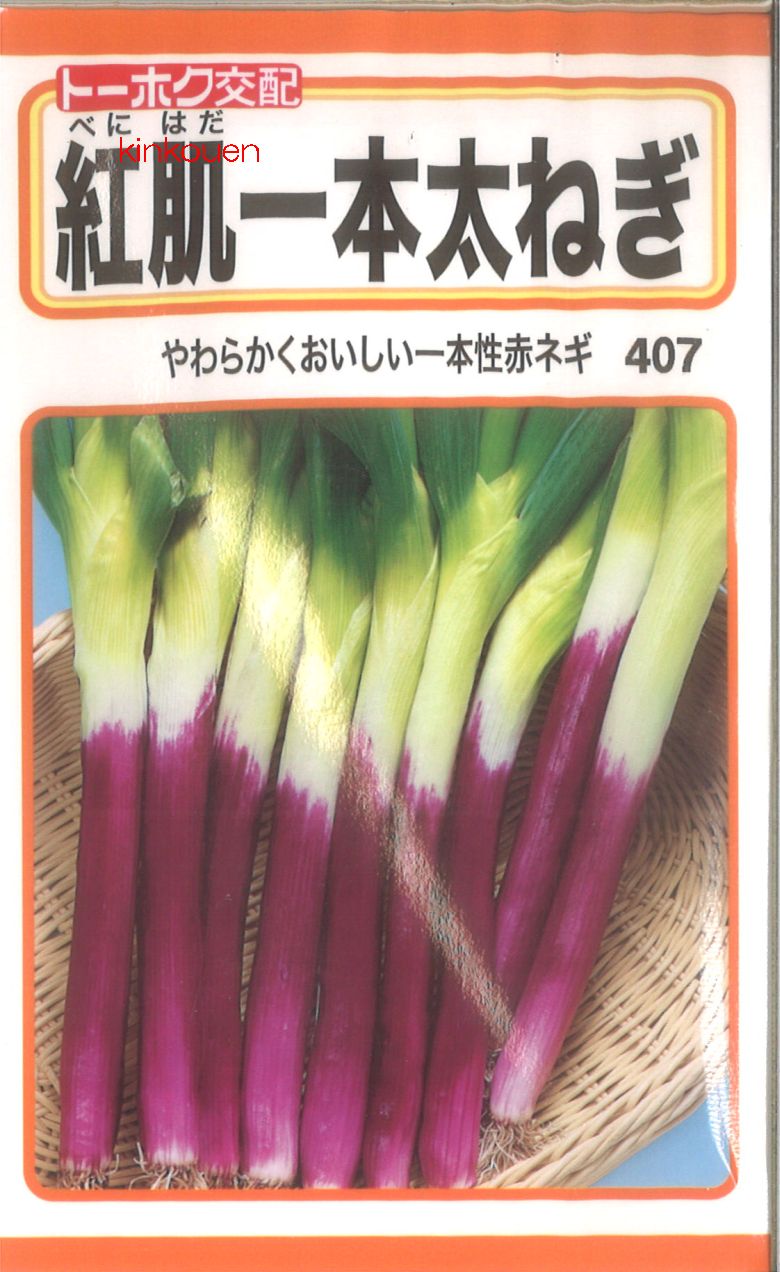 【代引不可】【送料5袋まで80円】◇ seed たね tane 種 種子 タネ □紅肌一本太ねぎ家庭 ...