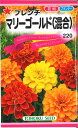 ◇ seed たね tane 種 種子 タネ □マリーゴールド■花 種 花 種 花 種 花 種 花 種 花 種 花 種 花 種 花 種 花 種 花 種 花 種 花 種■花 種 花 種 花 種 花 種 花 種 花