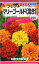 【代引不可】【送料5袋まで80円】 seed たね tane 種 種子 □フレンチマリーゴールド混合 ◇種子種子 花 種フレンチマリーゴールド混合種子種子 花 種 seed たね tane 種 種子フレンチマリーゴールド混合種子種子 花 220円