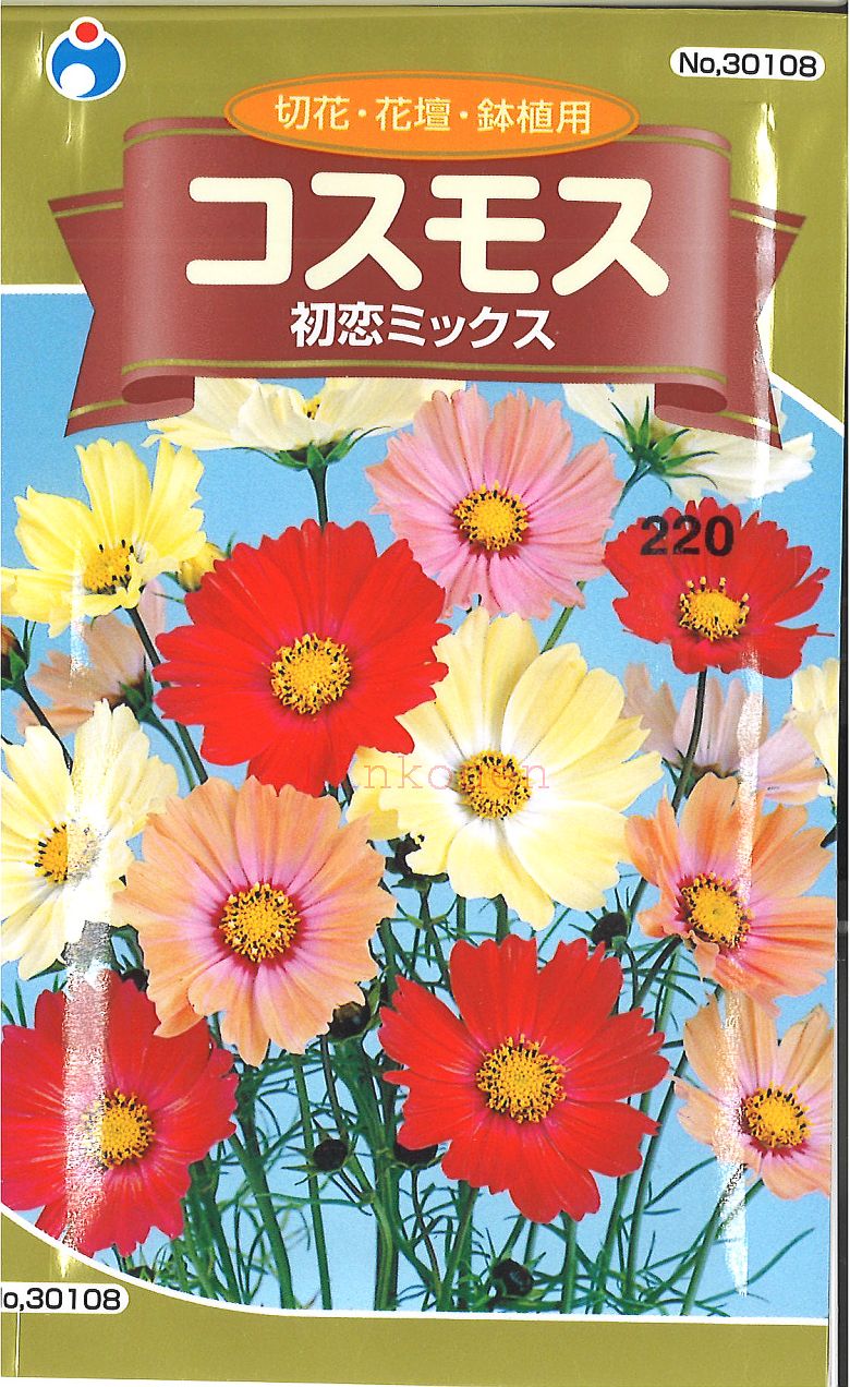 【代引不可】【送料5袋まで80円】◇ seed たね tane 種 種子 タネ □コスモス初恋ミックス■花 種種子 ウタネ 花 種種子 ウタネ 花 種種子 ウタネ 花 種種子 ウタネ 花 種種子 ウタネ 花 種種子 ウタネ 花 種種子 ウタネ 花■