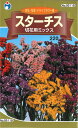 【代引不可】【送料5袋まで80円】 □スターチス 切花用ミックス