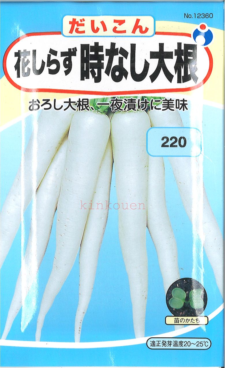 【代引不可】【送料5袋まで80円】 □花しらず時なしだいこん