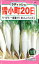 【代引不可】【送料5袋まで80円】◇ seed たね tane 種 種子 タネ □雪小町20日大根20日二十日大根の種廿日大根の種ハツカダイコンの種ラディッシュの種大根■種子 大根 カブ 種種子 ウタネ 種子 大根 カブ 種種子 ウタネ 種子■ 165円