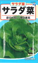 ◇ seed たね tane 種 種子 タネ □サラダ菜■種子 葉野菜 他 種種子 ウタネ 種子 葉野菜 他 種種子 ウタネ 種子 葉野菜 他 種種子 ウタネ 種子 葉野菜 他 種種子 ウタネ 種子 葉野菜 他■