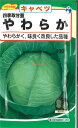 【代引不可】【送料5袋まで80円】 seed たね tane 種 種子 □四季取甘藍やわらかキャベツ ◇種子種子 キャベツ 種四季取甘藍やわらかキャベツ種子種子...