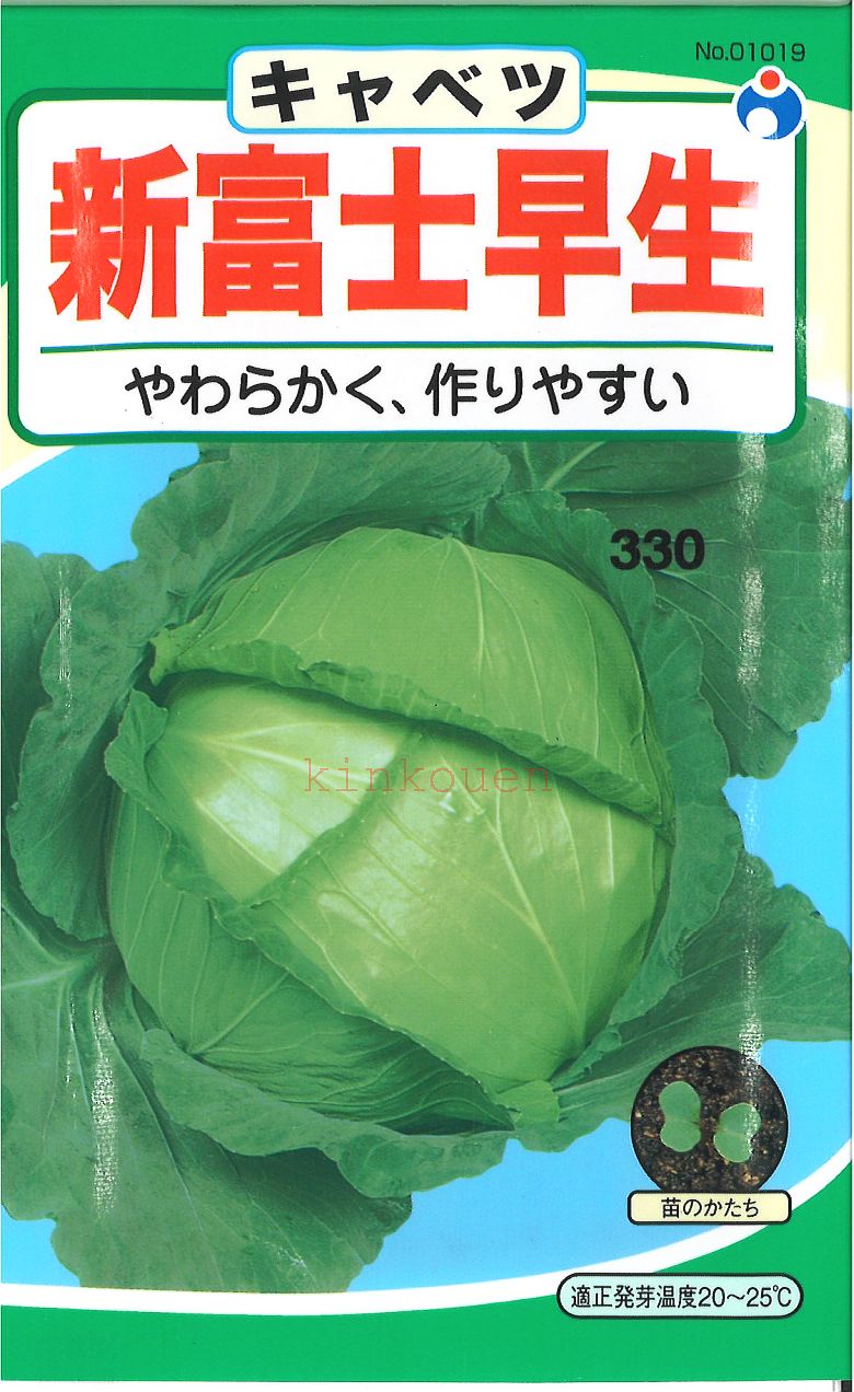 【代引不可】【送料5袋まで80円】 □新富士早生キャベツ