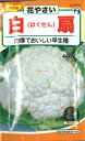 【代引不可】【送料5袋まで80円】 seed たね tane 種 種子 □白扇カリフラワー ◇種子種子 ブロッコリー カリフラワー レタス 種白扇カリフラワー種子種子 ブロッコリー カリフラワー レタス 種 seed たね tane 種 種子白