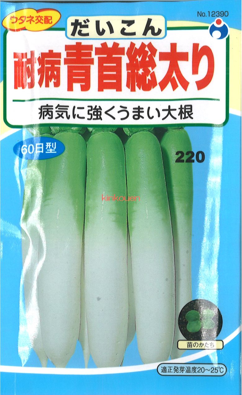 【代引不可】【送料5袋まで80円】 □耐病青首総太り大根