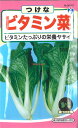 【代引不可】【送料5袋まで80円】 □つけな ビタミン菜