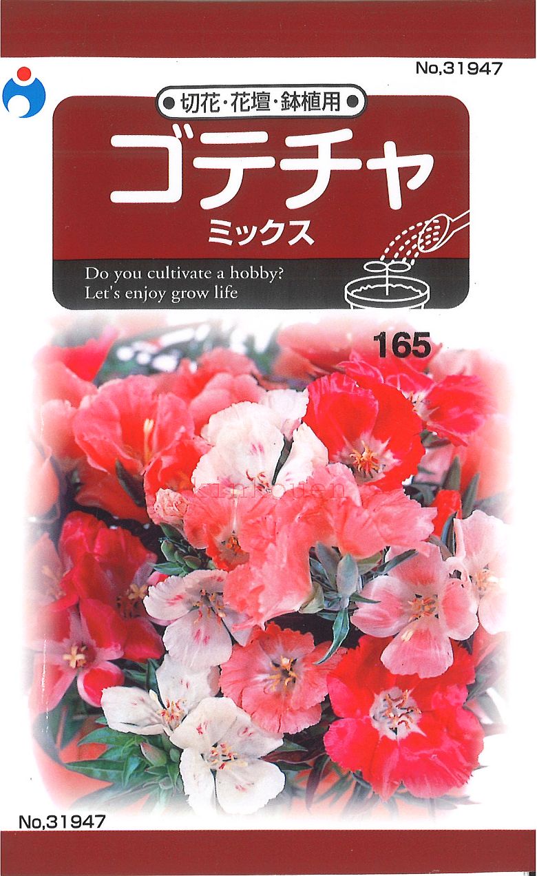 【代引不可】【送料5袋まで80円】◇ seed たね tane 種 種子 タネ □ゴテチャ花の種■花 種種子 ウタネ 花 種種子 ウタネ 花 種種子 ウタネ 花 種種子 ウタネ 花 種種子 ウタネ 花 種種子 ウタネ 花 種種子 ウタネ 花 種種