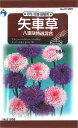 【代引不可】【送料5袋まで80円】 □矢車草 八重咲特選混合