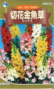 【代引不可】【送料5袋まで80円】 □切花金魚草 ミックス