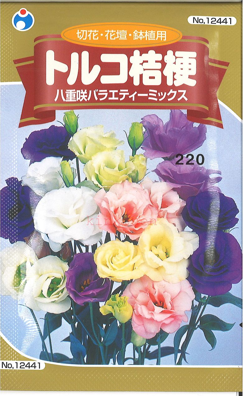 【代引不可】【送料5袋まで80円】 □トルコ桔梗　八重咲バラエティーミックス