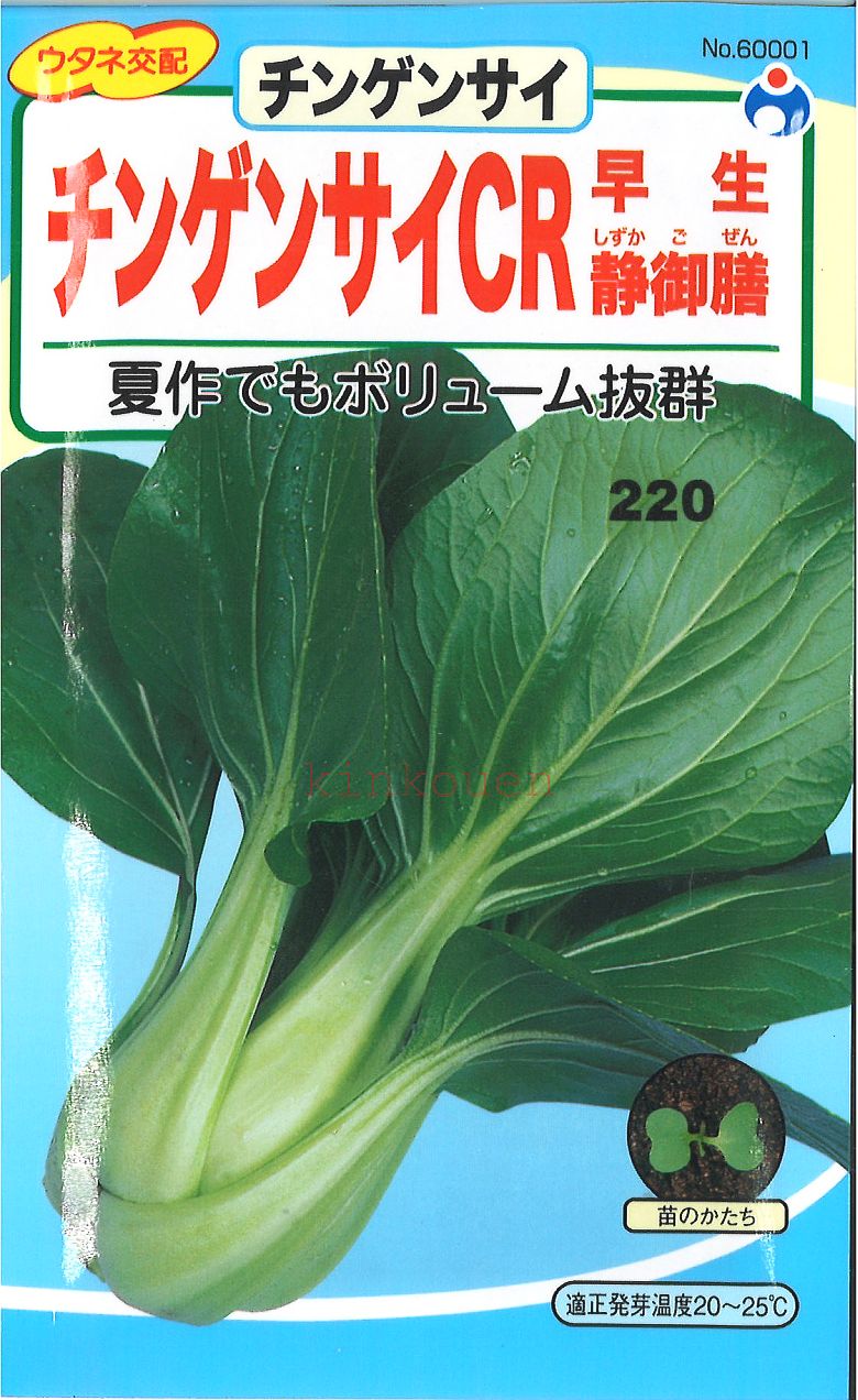 【代引不可】【送料5袋まで80円】 □チンゲンサイ　CR　早生静御膳