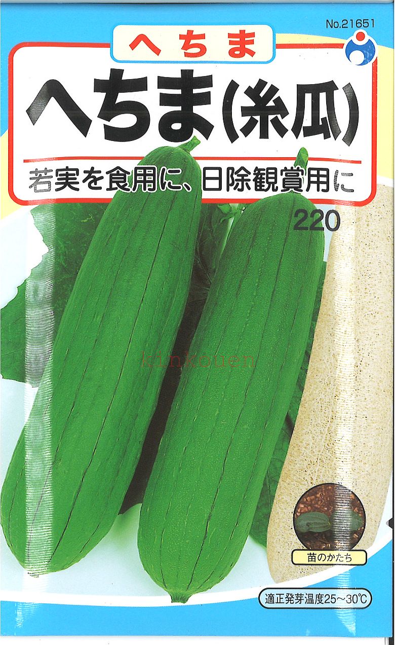 【代引不可】【送料5袋まで80円】 □へちま　糸瓜