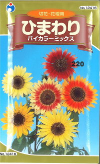 【楽天市場】【代引不可】【送料5袋まで80円】 ひまわりバイカラーミックス 2-2-3 ヒマワリ 向日葵 日回り ニチリンソウ（日輪草）、ヒ