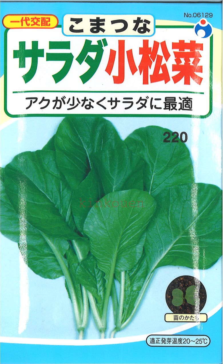 【代引不可】【送料5袋まで80円】 □こまつなサラダ小松菜