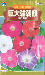 【代引不可】【送料5袋まで80円】◇ seed たね tane 種 種子 タネ □巨大輪朝顔暁の混合■花 種種子 ウタネ 花 種種子 ウタネ 花 種種子 ウタネ 花 種種子 ウタネ 花 種種子 ウタネ 花 種種子 ウタネ 花 種種子 ウタネ 花 種