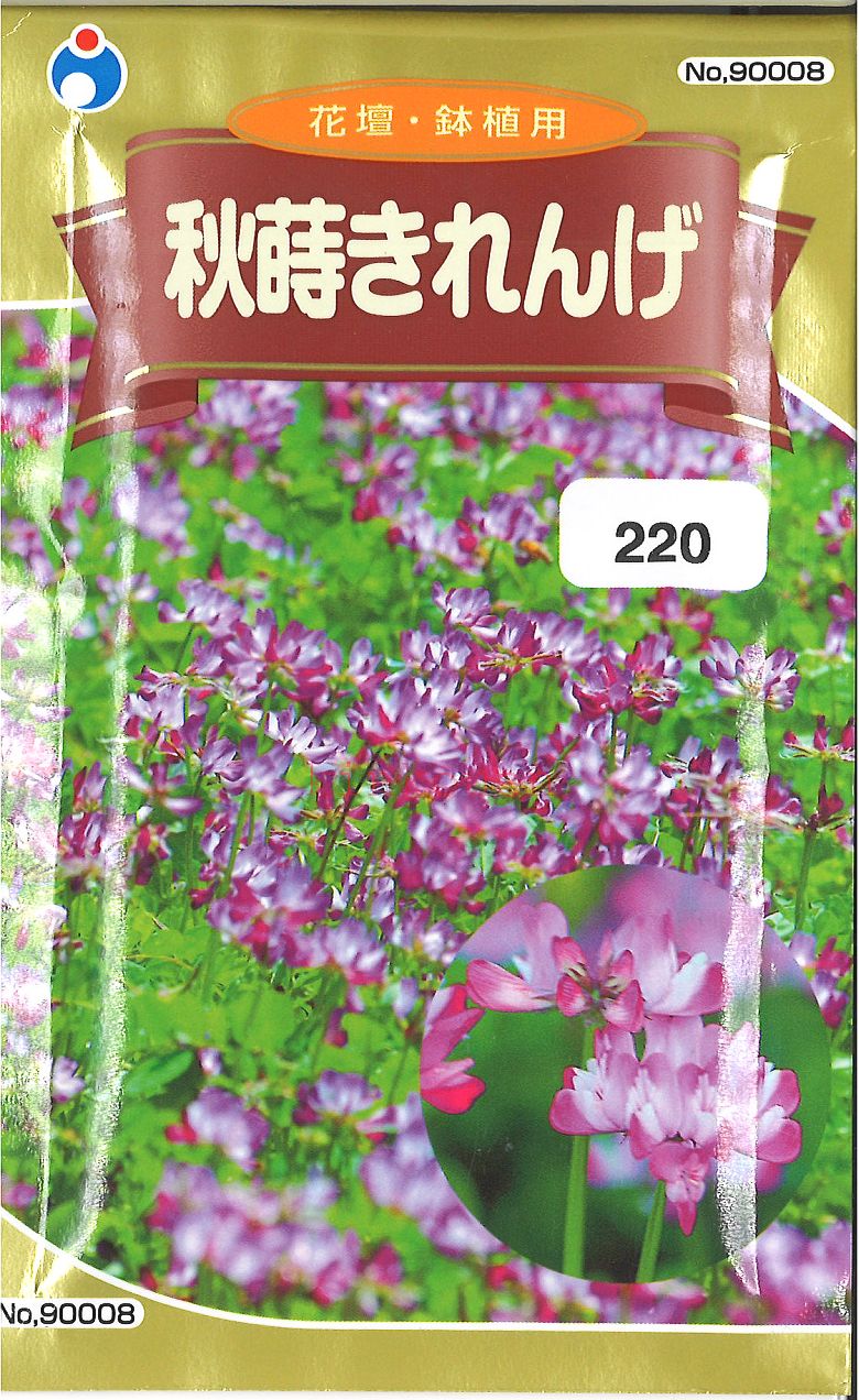 【代引不可】【送料5袋まで80円】◇ seed たね tane 種 種子 タネ □秋蒔きれんげ花の種れんげの種蓮華の種■花 種種子 ウタネ 花 種種子 ウタネ 花 種種子 ウタネ 花 種種子 ウタネ 花 種種子 ウタネ 花 種種子 ウタネ 花 種種