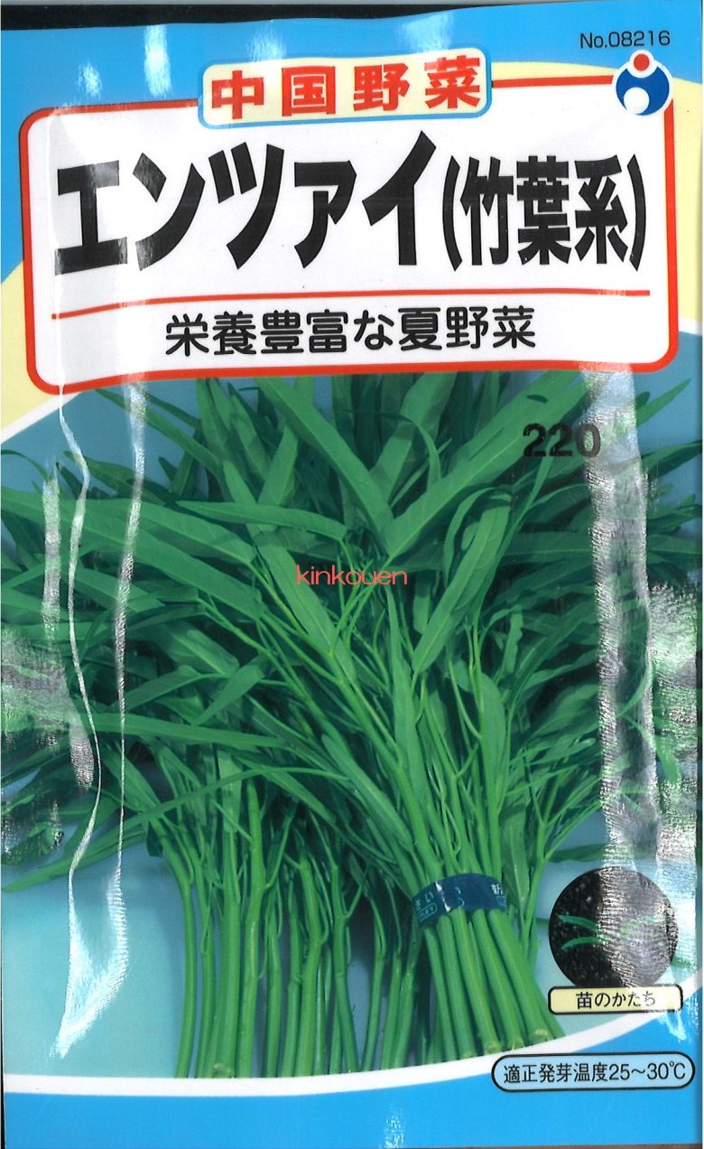 【代引不可】【送料5袋まで80円】 seed たね tane 種 種子　□エンツァイ竹葉系えんさい ◇種子種子 葉野菜 他 種エンツァイ竹葉系えんさい種子種子 葉野菜 他 種 seed たね tane 種 種子エンツァイ竹葉系えんさい種子種子 葉野のサムネイル