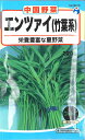 【代引不可】【送料5袋まで80円】◇ seed たね tane 種 種子 タネ □エンツァイ竹葉系■種子 葉野菜 他 種種子 ウタネ 種子 葉野菜 他 種種子 ウタネ 種子 葉野菜 他 種種子 ウタネ 種子 葉野菜 他 種種子 ウタネ 種子 葉野菜