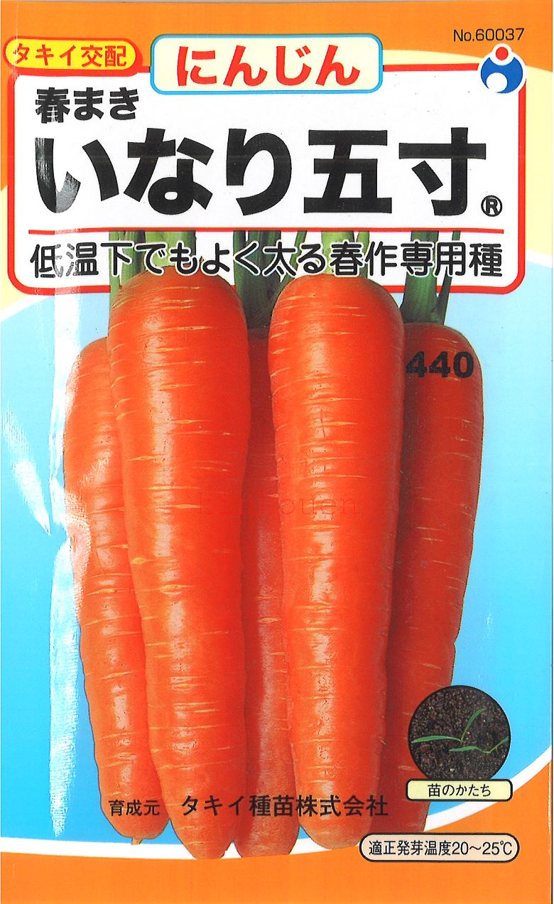 【代引不可】【送料5袋まで80円】 いなり五寸にんじん