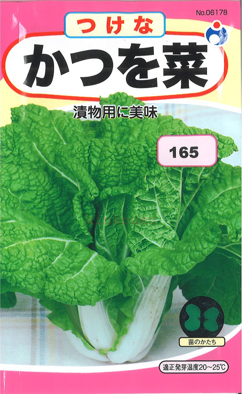 【代引不可】【送料5袋まで80円】◇ seed たね tane 種 種子 タネ □かつを菜葉野菜の種かつを菜の種かつお菜の種カツオナの種かつをなの種つけなの種ポイント消化■種子 葉野菜 他 種種子 ウタネ 種子 葉野菜 他 種種子 ウタネ 種子■