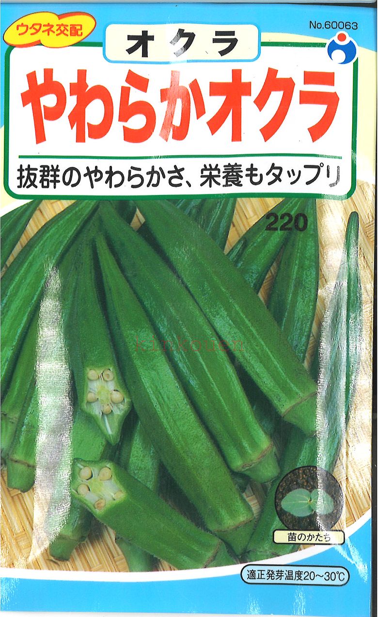 【代引不可】【送料5袋まで80円】 □やわらかオクラ