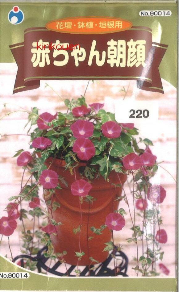 【代引不可】【送料5袋まで80円】 seed たね tane 種 種子　□赤ちゃん朝顔 ◇種子種子 花 種赤ちゃん朝顔種子種子 花 種 seed たね tane 種 種子赤ちゃん朝顔種子種子 花 種 seed たね tane 種 種子赤ちゃん朝顔のサムネイル
