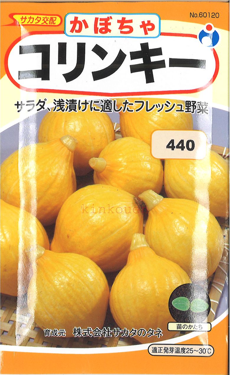 【代引不可】【送料5袋まで80円】 □かぼちゃコリンキー