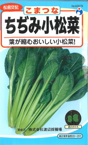 【代引不可】【送料5袋まで80円】◇ seed たね tane 種 種子 タネ □ちぢみ小松菜コマツナの種小松菜の種コナツ菜の種■種子 葉野菜 他 種種子 ウタネ 種子 葉野菜 他 種種子 ウタネ 種子 葉野菜 他 種種子 ウタネ 種子 葉野菜 他