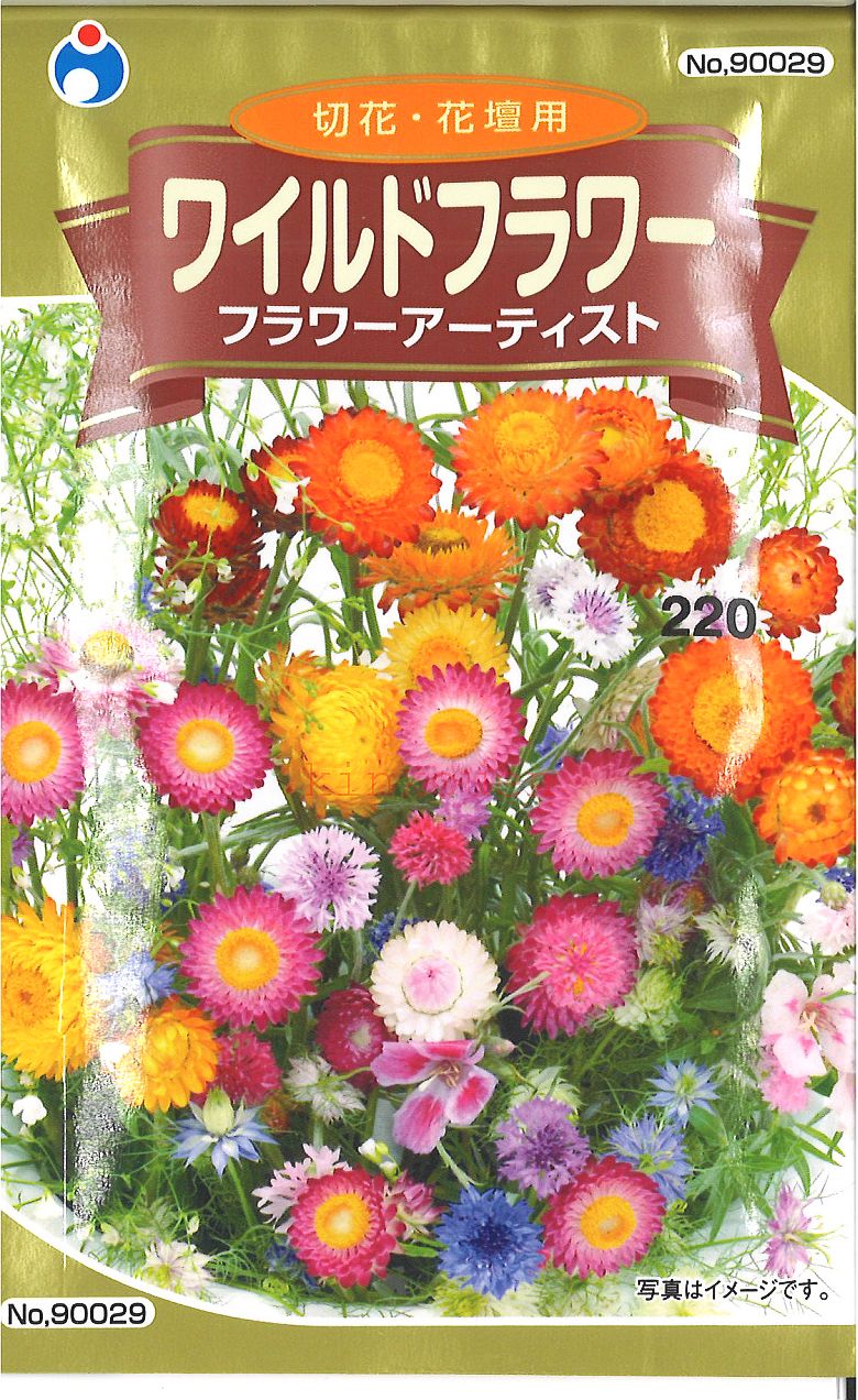 【代引不可】【送料5袋まで80円】◇ seed たね tane 種 種子 タネ □ワイルドフラワーフラワーアーティスト｢描く｣キャンパスガーデン野生の花の種花の種■花 種種子 ウタネ 花 種種子 ウタネ 花 種種子 ウタネ 花 種種子 ウタ