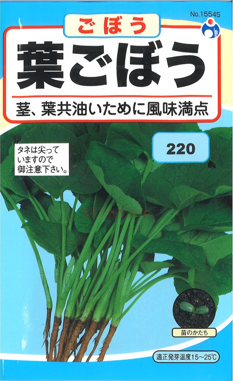 【代引不可】【送料5袋まで80円】◇ seed たね tane 種 種子 タネ □葉ごぼう葉ごぼうの種はごぼうの種葉牛蒡の種ゴボウの種■種子 ウタネ種子 ゴボウ 種 種子 ウタネ種子 ゴボウ 種 種子 ウタネ種子 ゴボウ 種 種子 ウタネ種子■