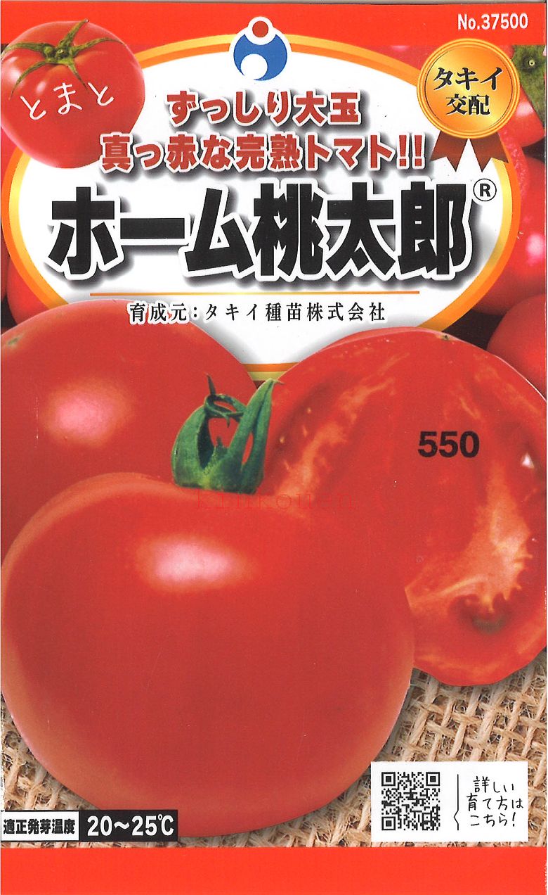 【代引不可】【送料5袋まで80円】◇ seed たね tane 種 種子 タネ □ホーム桃太郎トマト■種子 トマト ミニトマト 種種子 ウタネ 種子 トマト ミニトマト 種種子 ウタネ 種子 トマト ミニトマト 種種子 ウタネ 種子 トマト ミニト