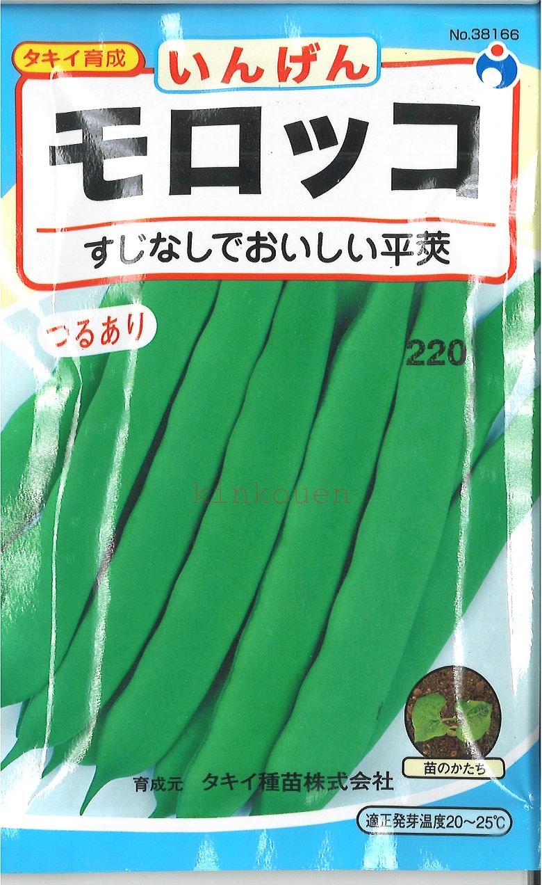 【代引不可】【送料5袋まで80円】 □つる有モロッコいんげん