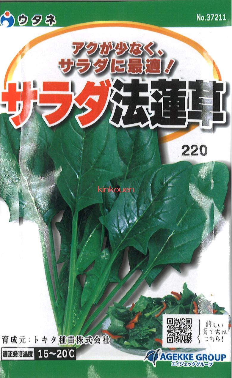 【代引不可】【送料5袋まで80円】 □サラダ法蓮草■種子種子 ホウレンソウ 種種子 ウタネ 種子種子 ホウレンソウ 種種子 ウタネ 種子種子 ホウレンソウ 種種子 ウタネ 種子種子 ホウレンソウ 種種子 ウタネ 種子種子 ホウレンソウ 種種子 ウタ