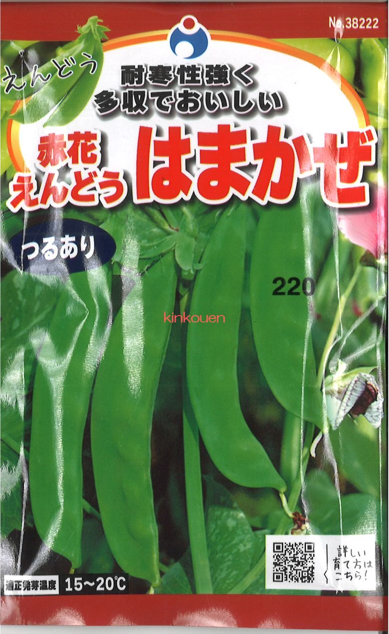 【代引不可】【送料5袋まで80円】 □赤花えんどうはまかぜ