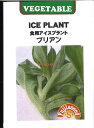 【代引不可】【送料5袋まで80円】 seed たね tane 種 種子 □食用アイスプラント プリアン ◇種子種子 葉野菜 他 種食用アイスプラント プリアン種子種子 葉野菜 他 種 seed たね tane 種 種子食用アイスプラント