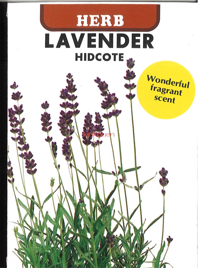 【代引不可】【送料5袋まで80円】 seed たね tane 種 種子 □ラベンダーヒデコート ◇種子種子 ハーブ 種種子 花 種ラベンダーヒデコート種子種子 ...