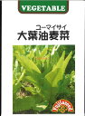 【代引不可】【送料5袋まで80円】 seed たね tane 種 種子 □大葉油麦菜 ユーマイサイ ◇種子種子 葉野菜 他 種大葉油麦菜 ユーマイサイ種子種子 葉野菜 他 種 seed たね tane 種 種子大葉油麦菜 ユーマイサイ種子種子 葉野