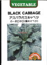 【代引不可】【送料5袋まで80円】 seed たね tane 種 種子 □アスパラガスキャベツ 黒キャベツ リーフブロッコリー ◇種子種子 キャベツ 種アスパラガスキャベツ 黒キャベツ リーフブロッコリー種子種子 キャベツ 種