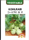 【代引不可】【送料5袋まで80円】 seed たね tane 種 種子 □コールラビ 白2 ◇種子種子 葉野菜 他 種コールラビ 白2種子種子 葉野菜 他 種 seed たね tane 種 種子コールラビ 白2種子種子 葉野菜 他 種 see